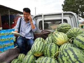 青海藏族网红吃瓜事件,揭秘网络舆论背后的真相