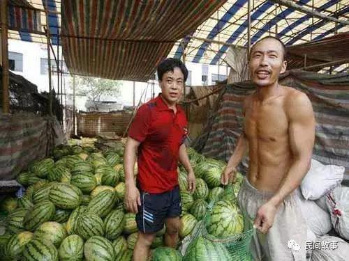 青海藏族网红吃瓜事件,揭秘网络舆论背后的真相