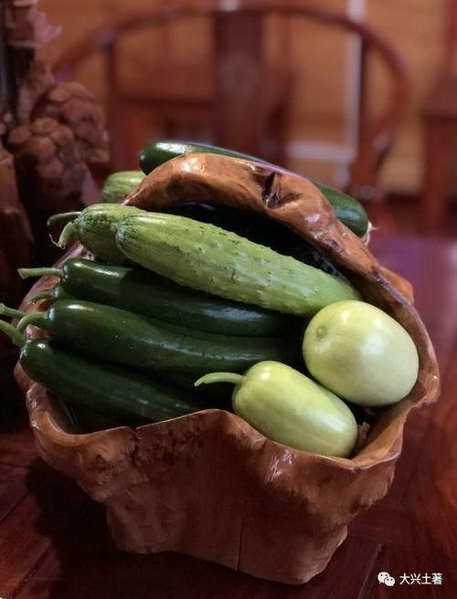 网红吃瓜投稿,揭秘娱乐圈幕后真相