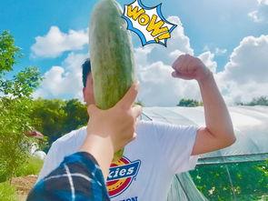 快乐网红吃瓜图片高清,快乐氛围满满，高清美图来袭！