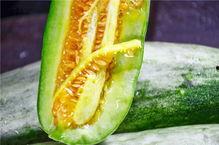 唐山网红吃瓜,揭秘网络红人的幕后故事