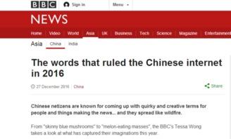 网传热门吃瓜密码,带你领略网络热议背后的真相