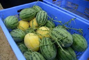 十堰网红吃瓜群微信号,揭秘当地热门话题，畅谈生活百态！”