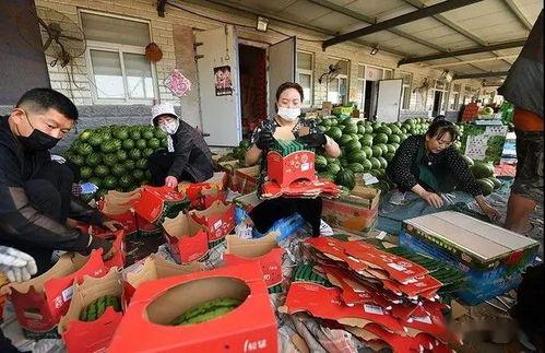 盐城网红吃瓜群众图片,街头热辣瞬间，揭秘网红生活点滴