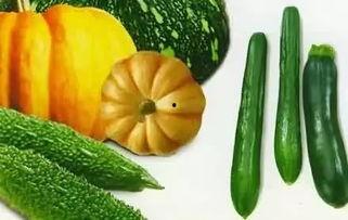 吃瓜网cccgg,带你领略网络热点的魅力与真相