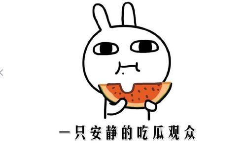 盘点网红吃瓜事件是真的吗,真相揭秘还是网络炒作？