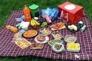 野餐兔网红吃瓜图片,萌态十足引网友热议