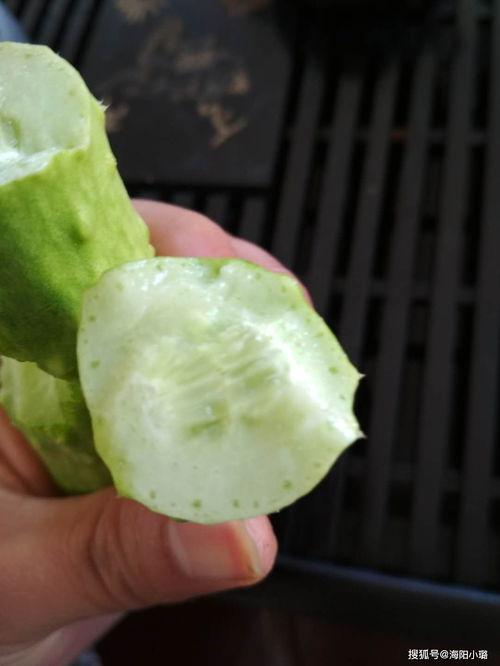 海阳吃网瓜视频,揭秘网络红人美食挑战背后的故事