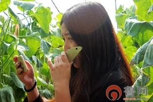 海阳吃网瓜视频,揭秘网络红人美食挑战背后的故事