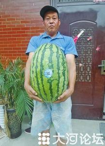 51大赛吃瓜网安全吗