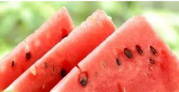 黑科网吃瓜在线观看