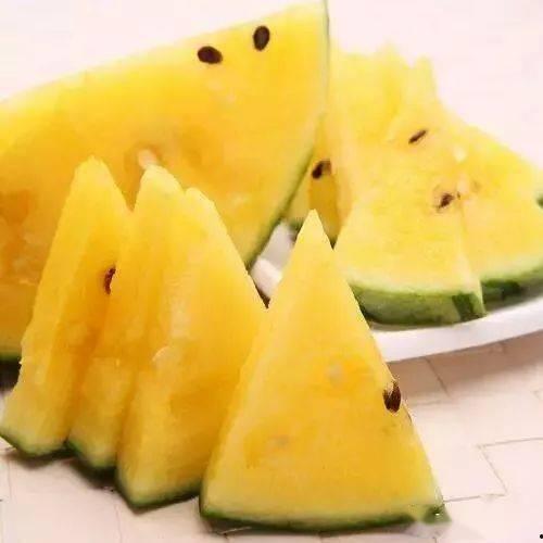 黑科网吃瓜在线观看